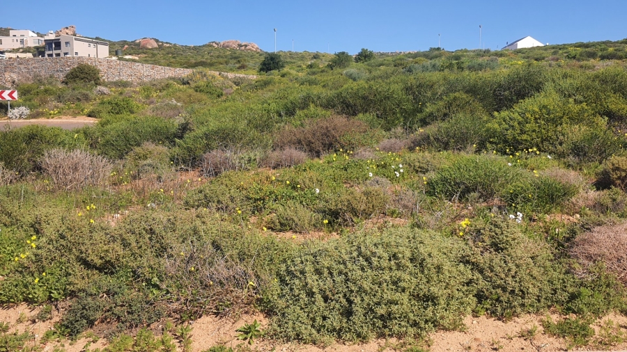  Bedroom Property for Sale in St Helena Views Western Cape